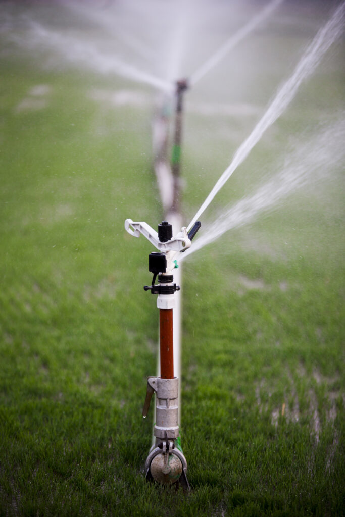 guia definitivo fertirrigação: Aspersor irrigando e fazendo a fertirrigação